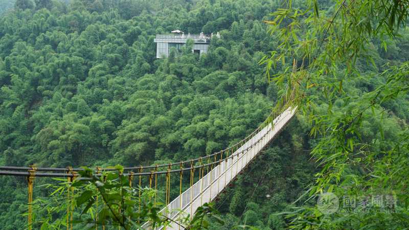 川西竹海-国家风景.中国